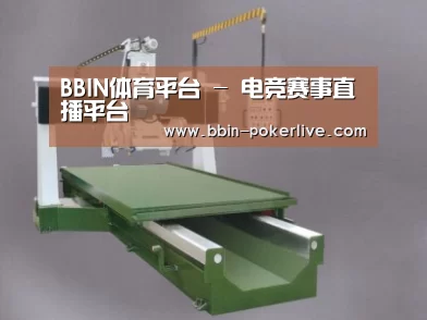 产品名称十