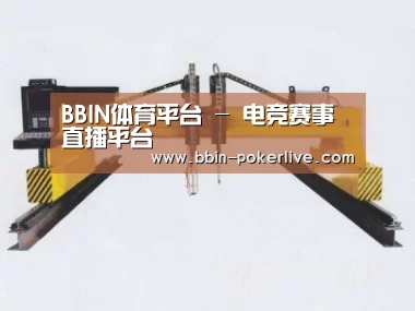产品名称十九