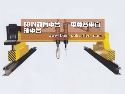 产品名称十九