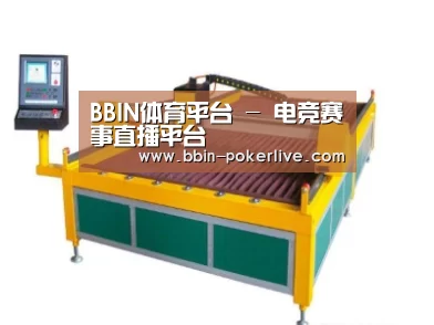 产品名称十九