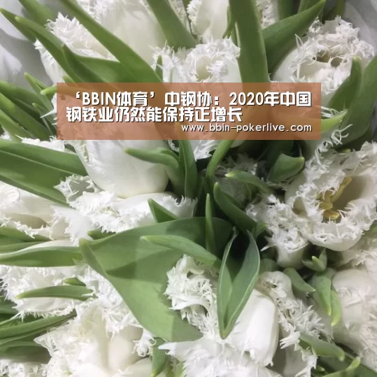 ‘BBIN体育’中钢协:2020年中国钢铁业仍然能保持正增长(图1) BBIN足球