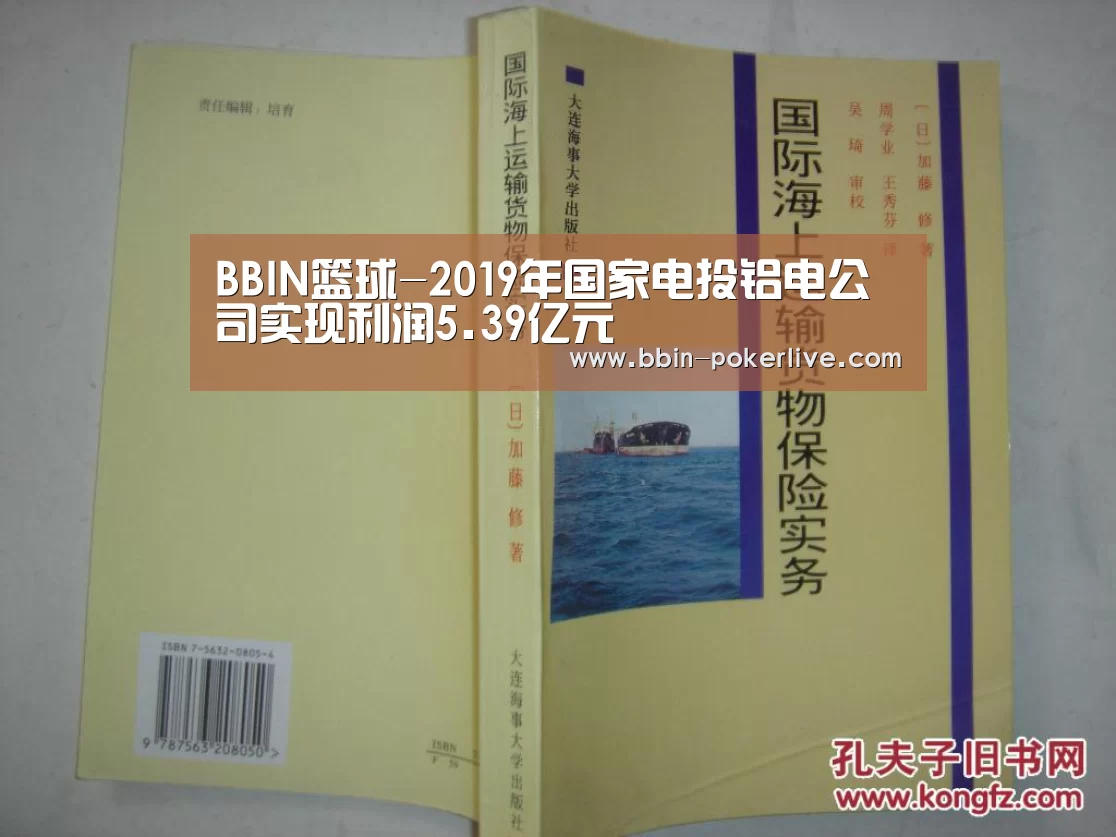 BBIN篮球-2019年国家电投铝电公司实现利润5.39亿元(图2) BBIN电竞