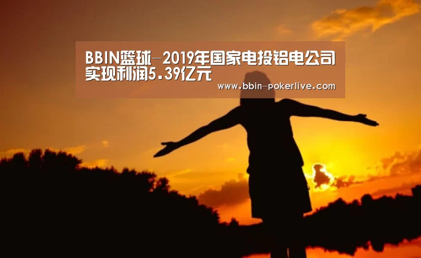 BBIN篮球-2019年国家电投铝电公司实现利润5.39亿元(图3) BBIN篮球