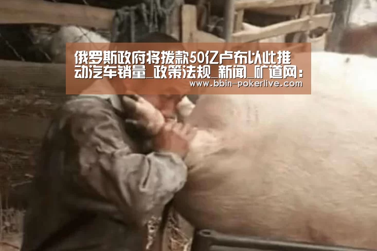 俄罗斯政府将拨款50亿卢布以此推动汽车销量_政策法规_新闻_矿道网:BBIN篮球(图3) BBIN电竞