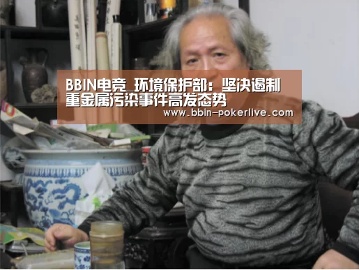 BBIN篮球