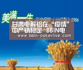 甘肃电解铝在“疫情”中产销稳定-BBIN电竞(图4) BBIN篮球