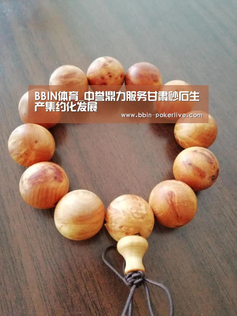 BBIN体育_中誉鼎力服务甘肃砂石生产集约化发展(图1) BBIN篮球